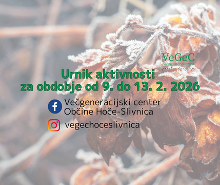 Urnik aktivnosti za obdobje od 9. do 13. 2. 2026