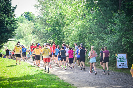 obcina_hoce_slivnica_9_tek_pod_pohorjem_01_10km_in_6in5km_2025_06_01_MP77974_foto_pigac_si